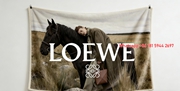 Loewe Horse Campaign Print Flannel Fleece Throw Blanket L214